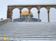  الطقس: استمرار تأثر البلاد بالكتلة الهوائية القطبية 